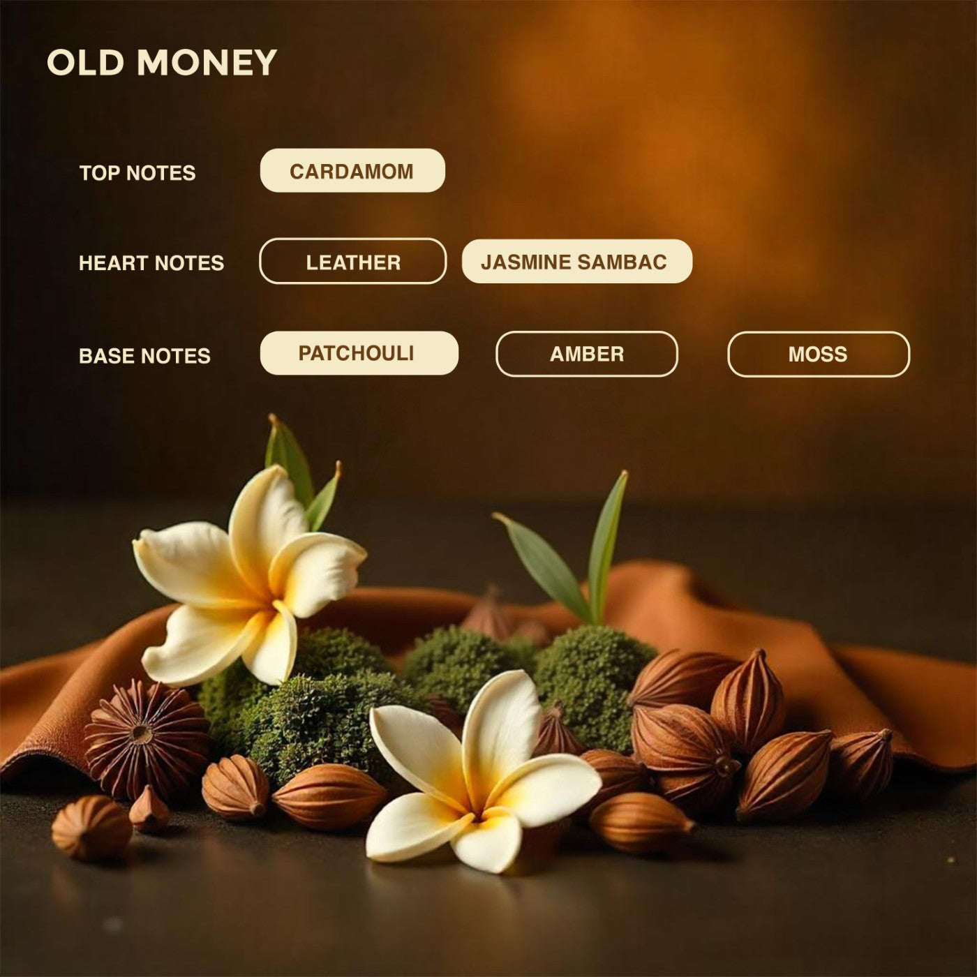 OLD MONEY