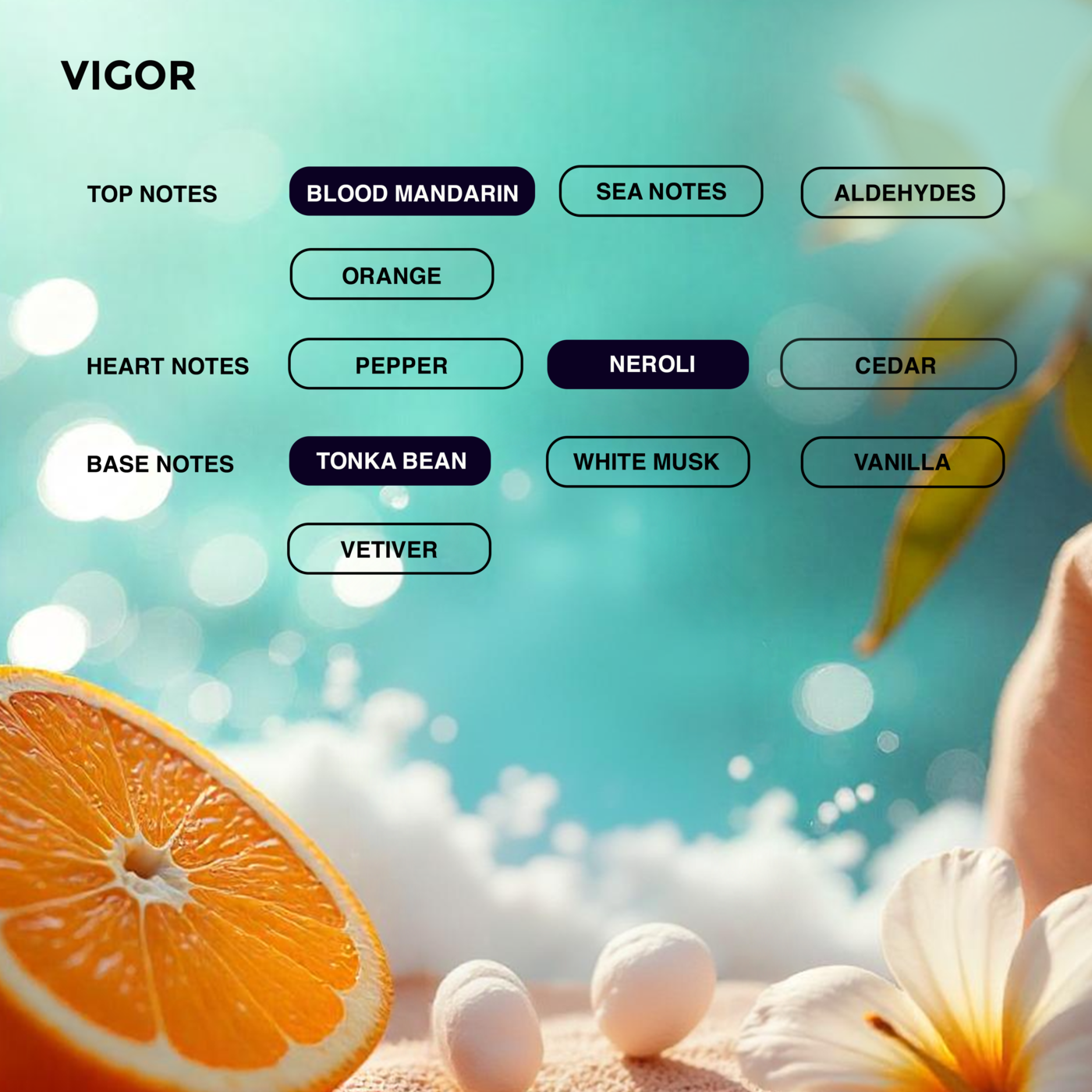 VIGOR