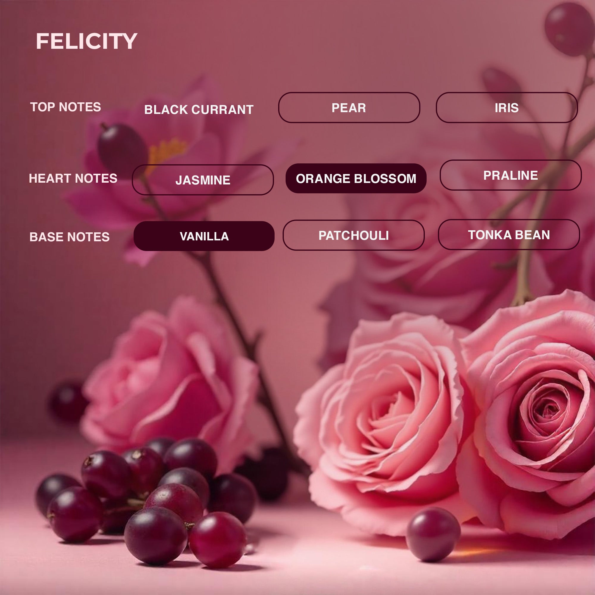 FELICITY